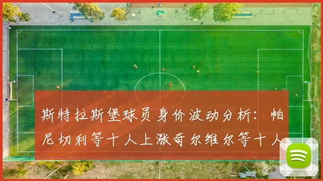 斯特拉斯堡球员身价波动分析：帕尼切利等十人上涨奇尔维尔等十人下滑