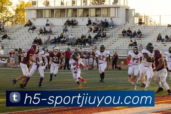 App Interface Preview